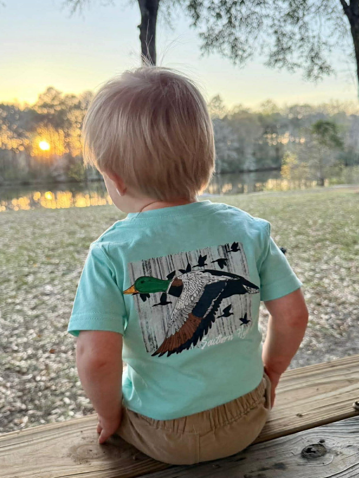 Wings Of The South