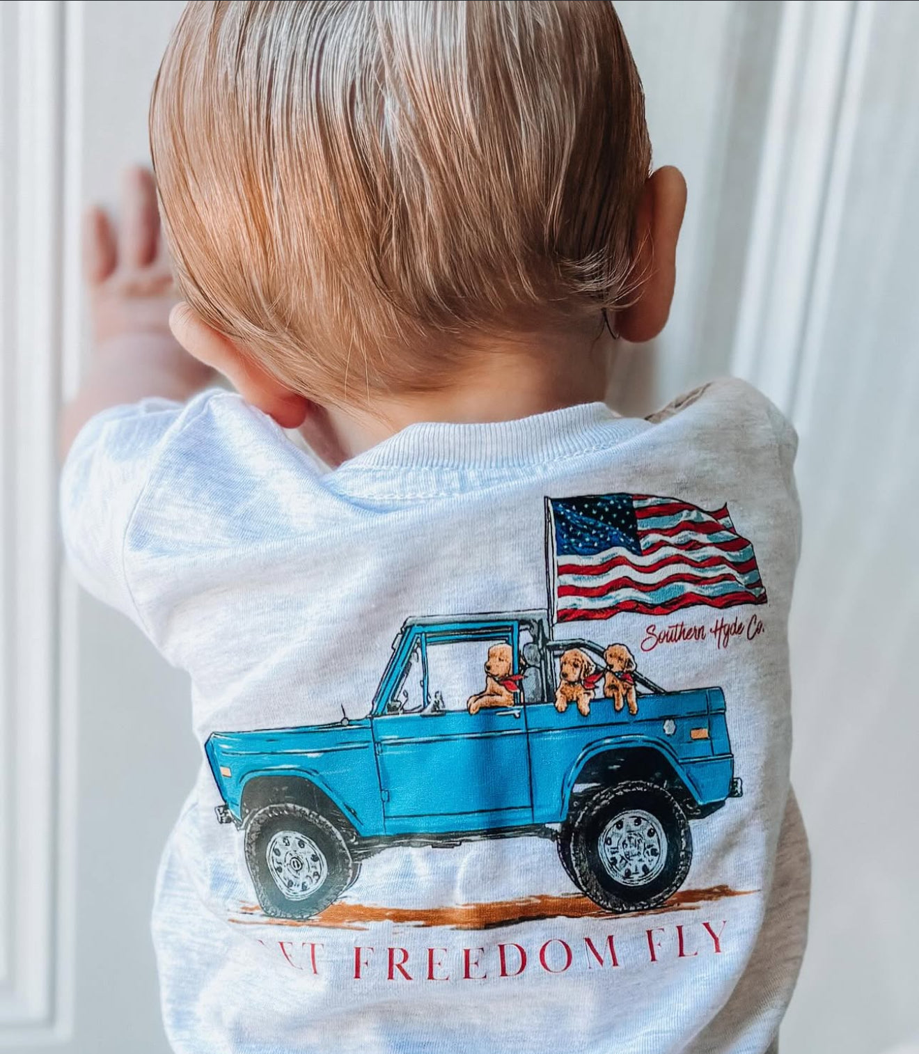 Let Freedom Fly