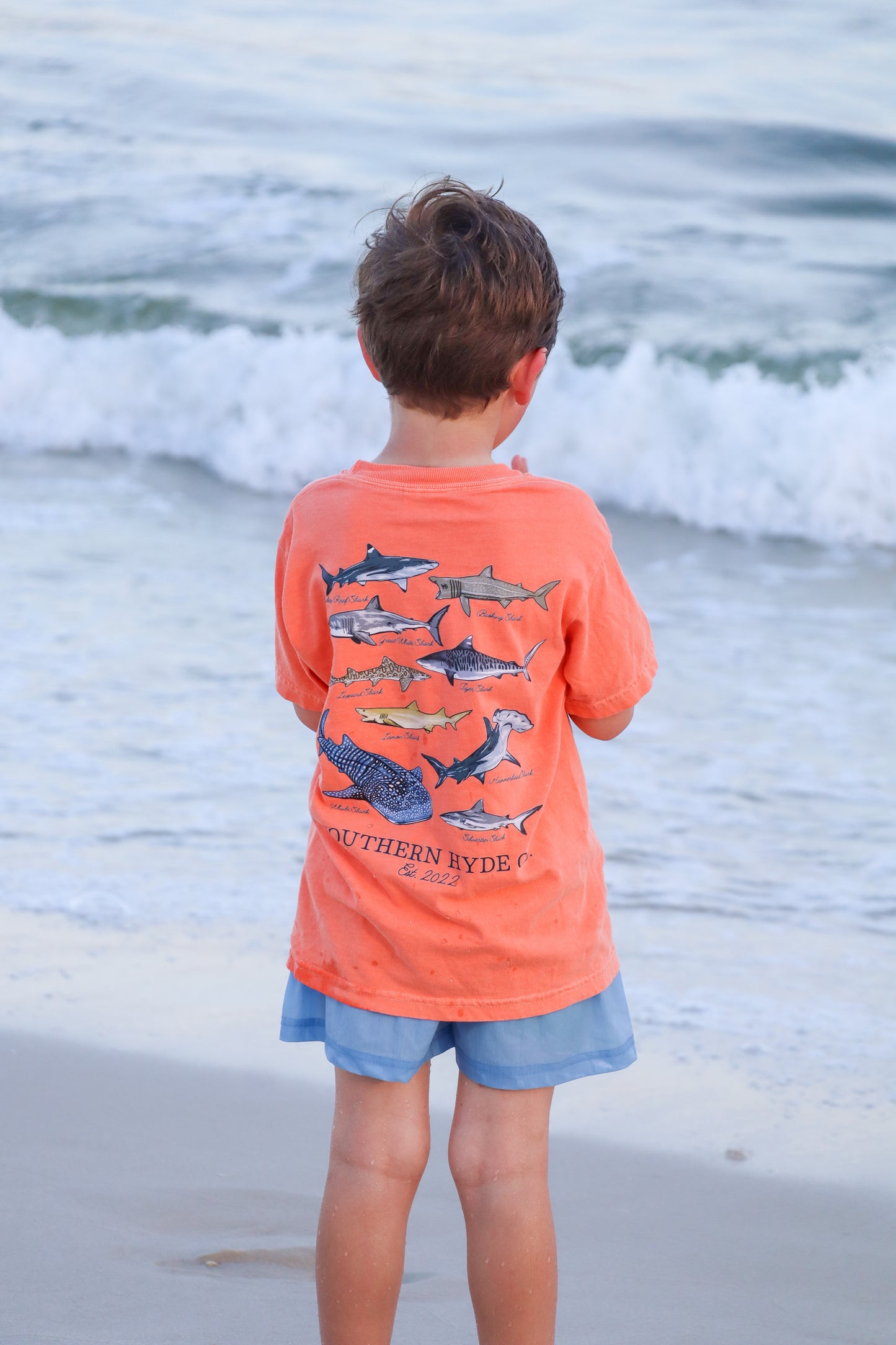 Southern Sharks