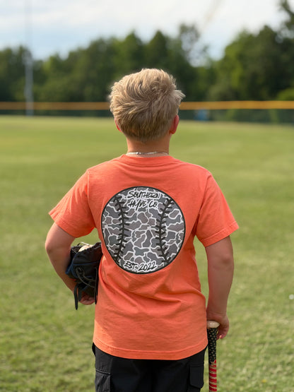 Fly Ball