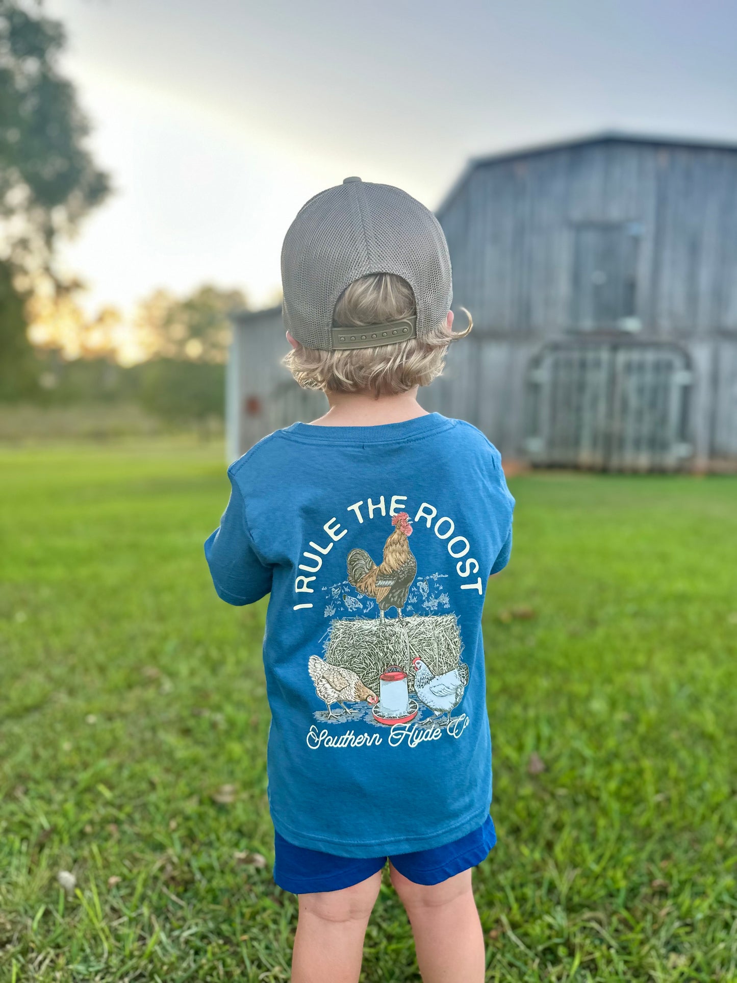 Rule The Roost