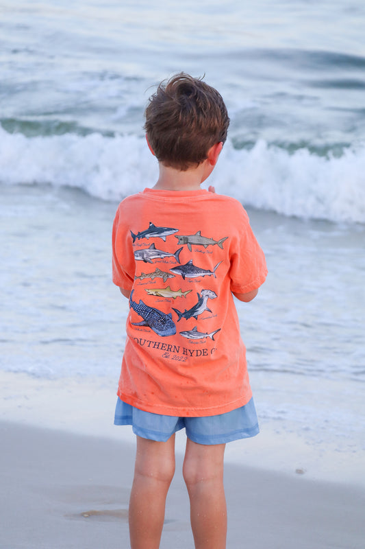 Southern Sharks